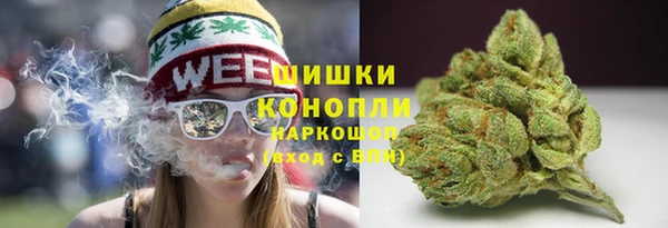 ALPHA PVP Чердынь