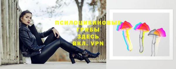 шишки Ачинск