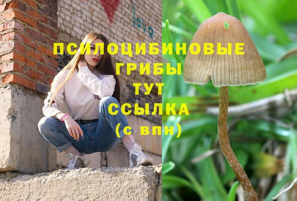 прущая мука Чекалин