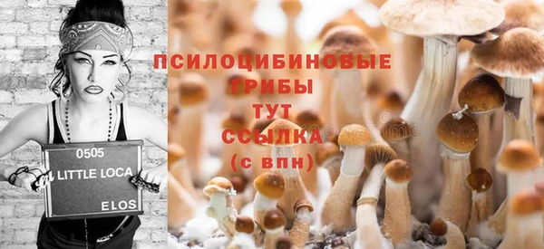 ALPHA PVP Чердынь