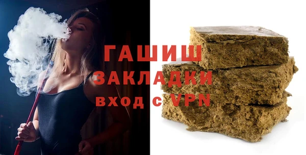 твердый Бердск