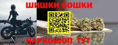 шишки Изобильный