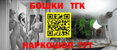 шишки Изобильный