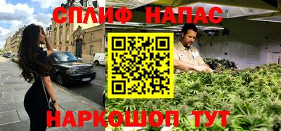 шишки Изобильный