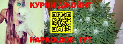 шишки Изобильный