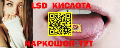 шишки Изобильный