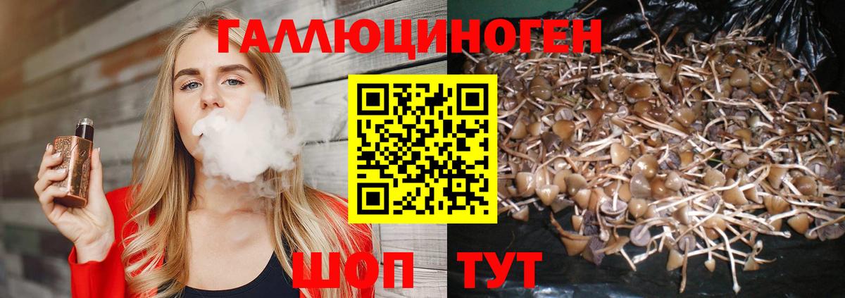 Галлюциногенные грибы мицелий Салават